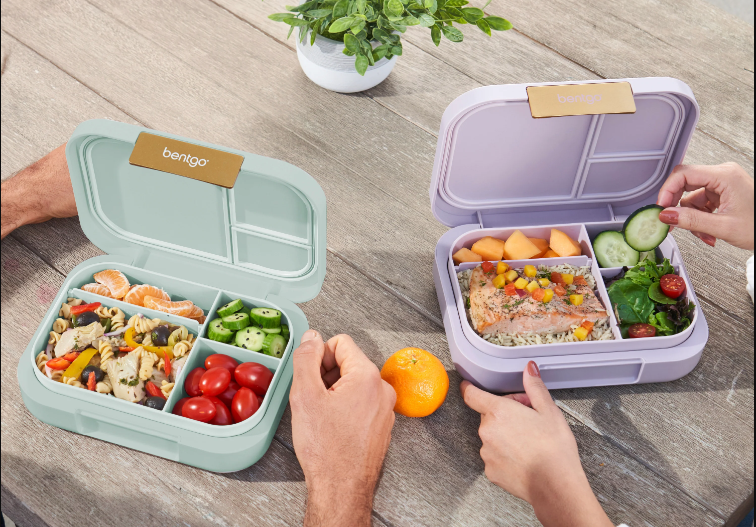 Bentgo Reviews: A Comprehensive Guide to the Ultimate Meal Prep Solution